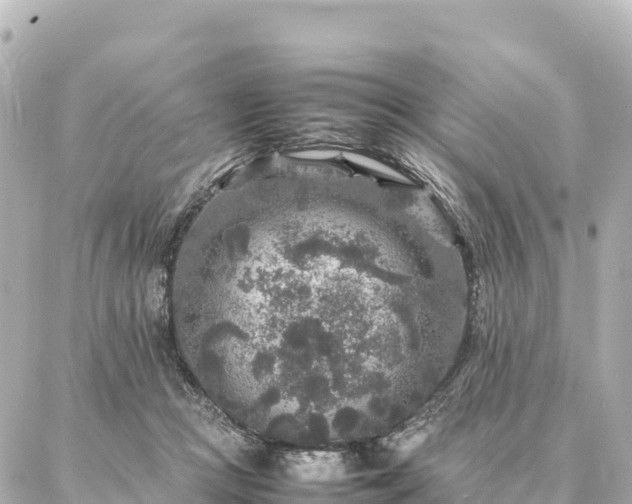 X0000087060361200704251035