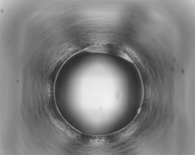 X0000087060362200704251035