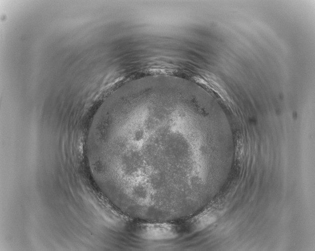 X0000087060363200704251035