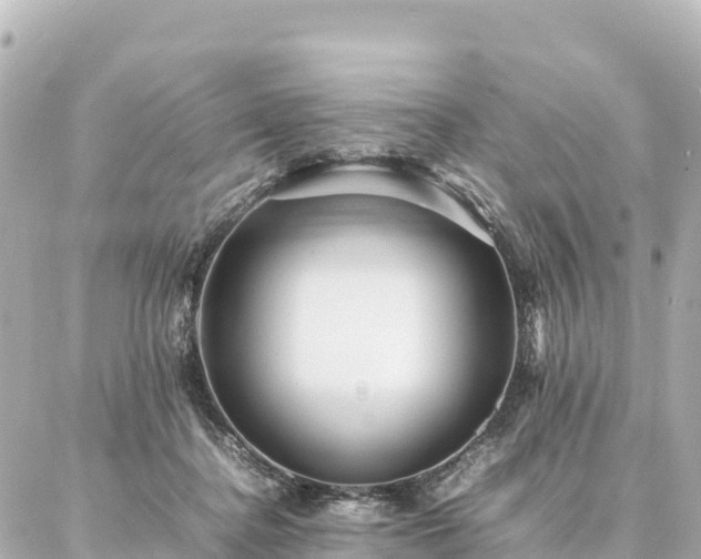 X0000087060364200704251035