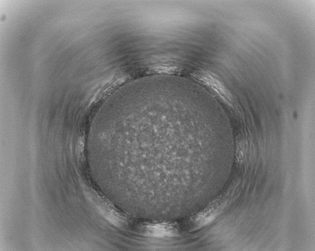 X0000087060365200704251035