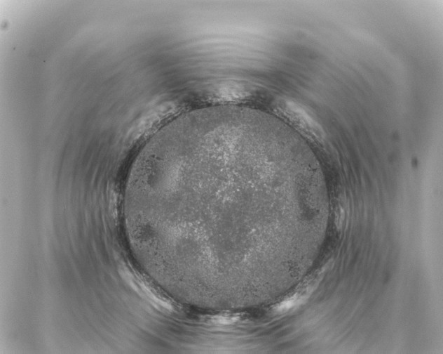 X0000087060366200704251035