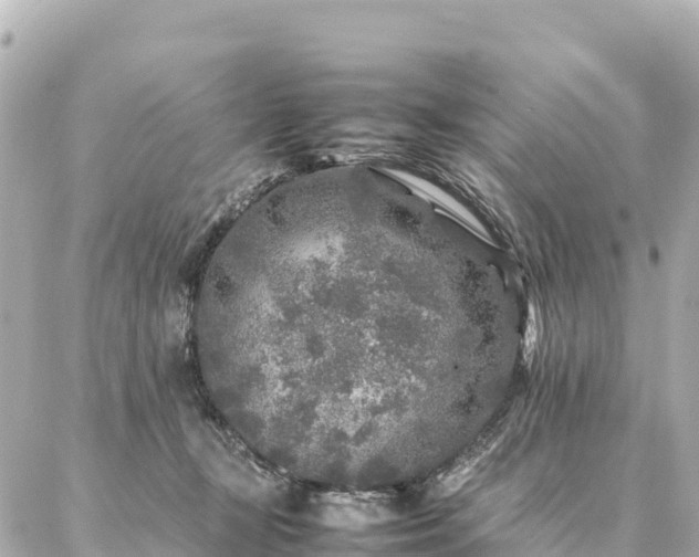 X0000087060367200704251035