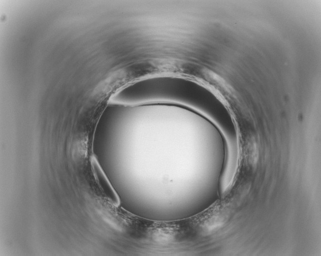 X0000087060368200704251035