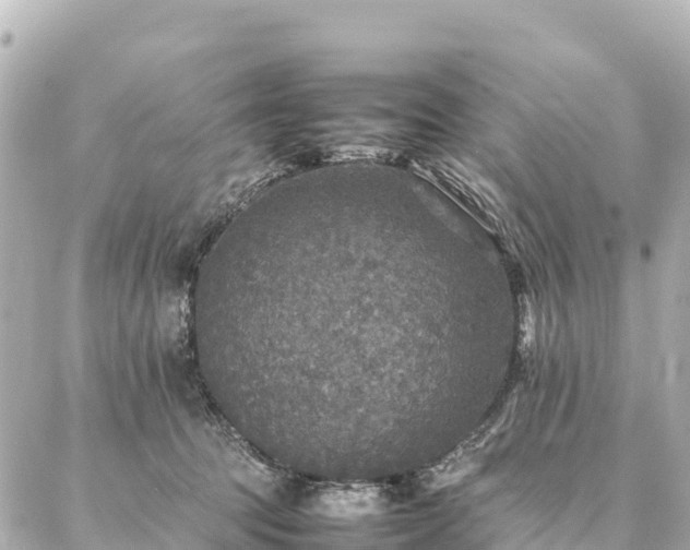 X0000087060369200704251035