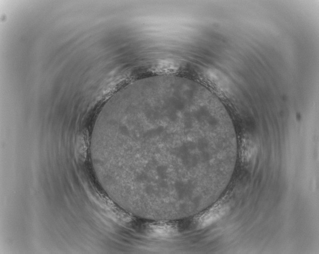 X0000087060370200704251035