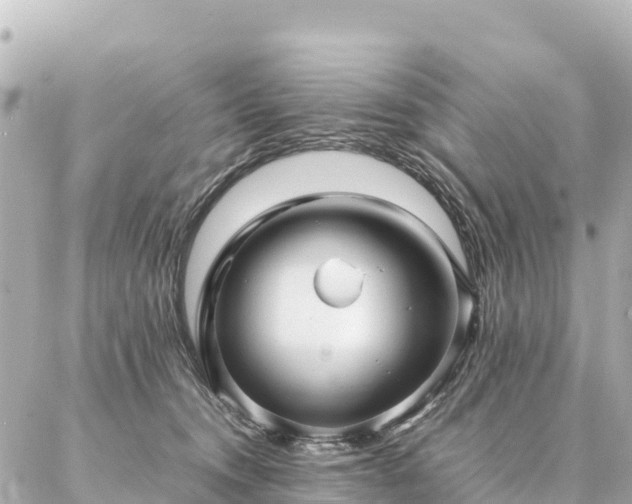 X0000087060372200704251035