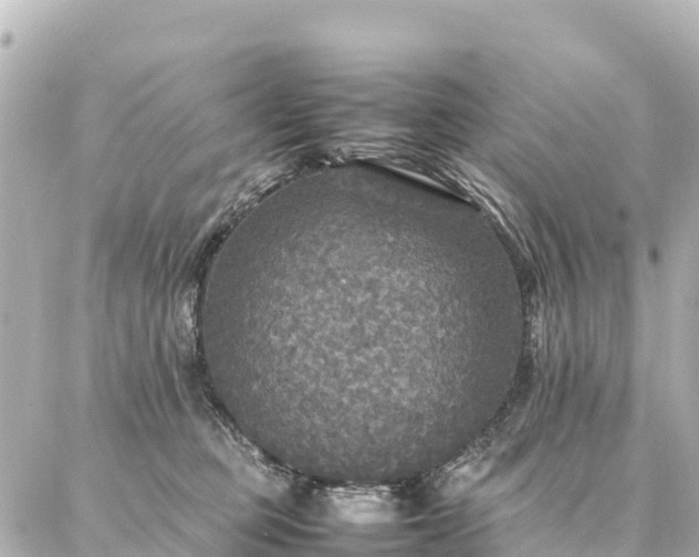 X0000087060373200704251035