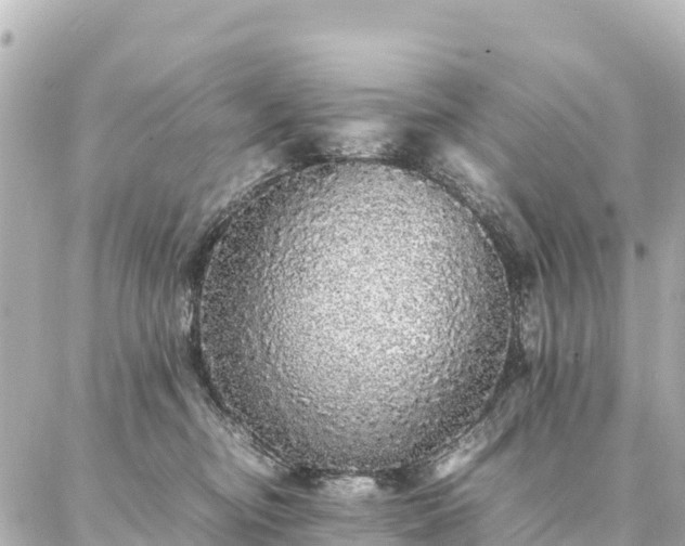 X0000087060374200704251035