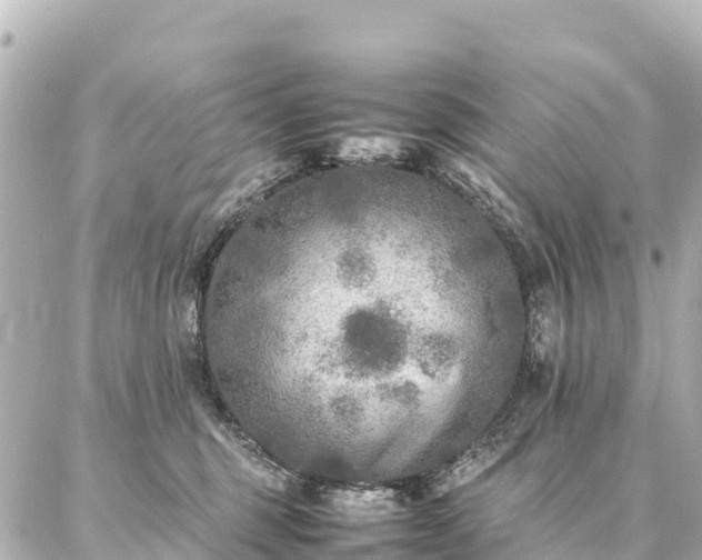 X0000087060375200704251035