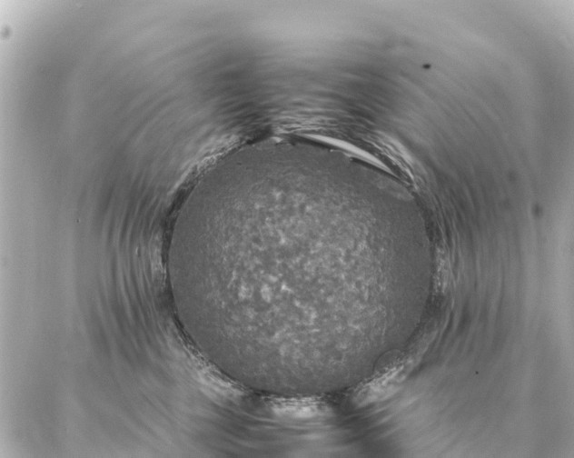 X0000087060377200704251035