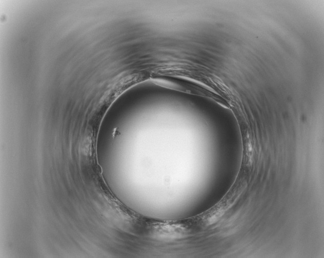 X0000087060379200704251035