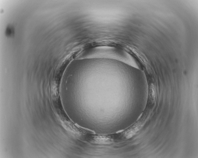 X0000087060380200704251035