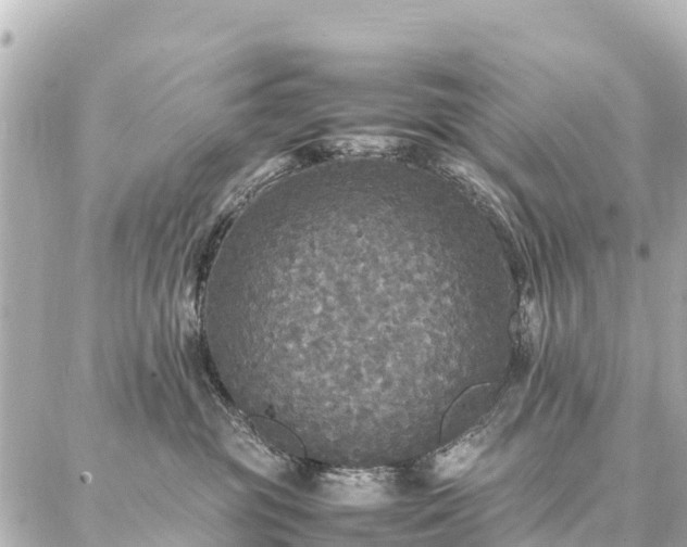 X0000087060381200704251035