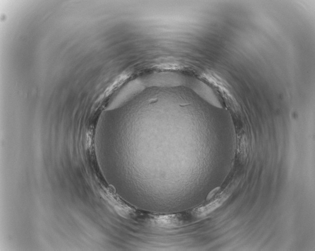 X0000087060382200704251035