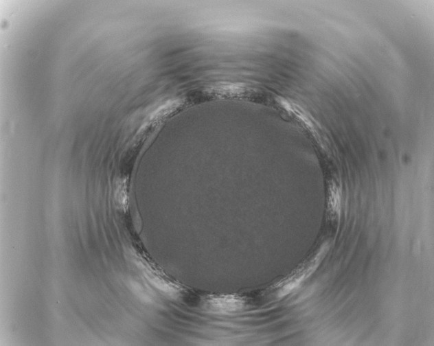 X0000087060383200704251035