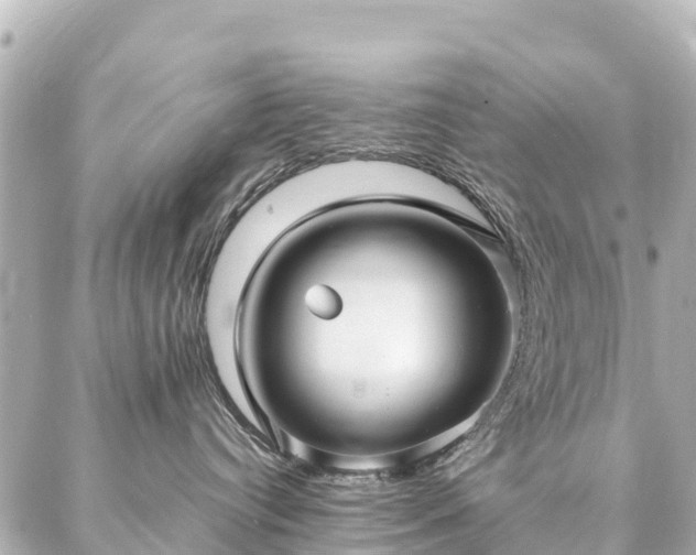 X0000087060384200704251035