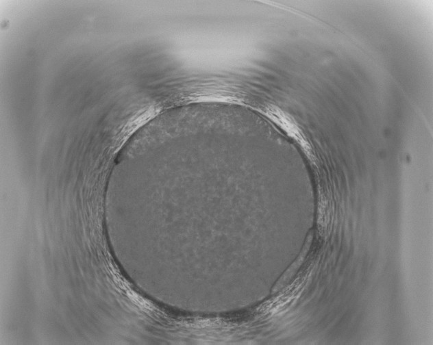 X0000087060385200704251034