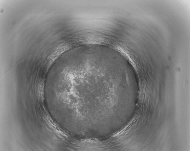 X0000087060386200704251034