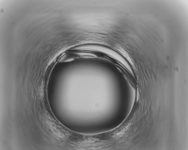 X0000087060387200704251034