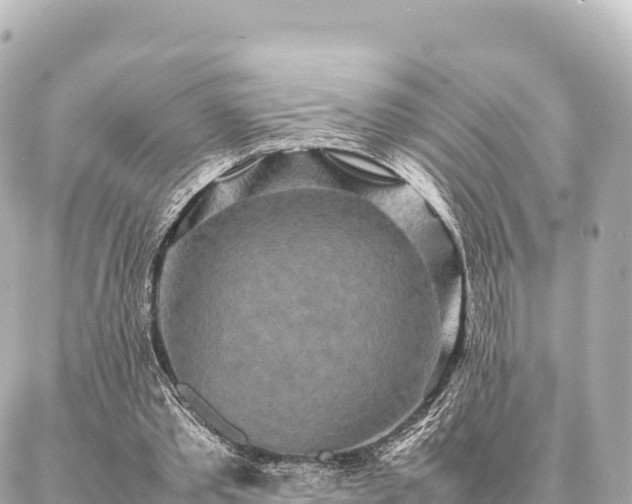 X0000087060389200704251034