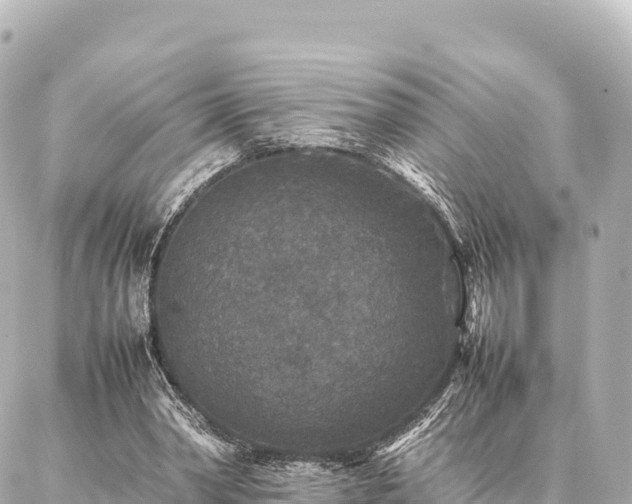 X0000087060390200704251034