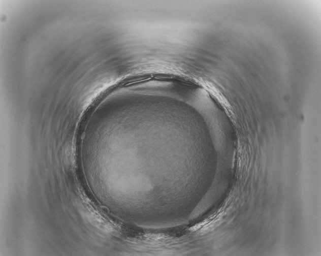 X0000087060391200704251034