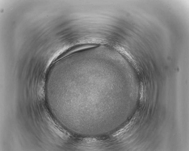 X0000087060392200704251034