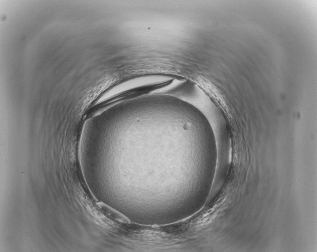 X0000087060393200704251034