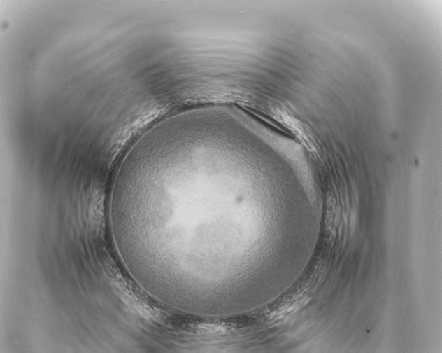 X0000087060394200704251034