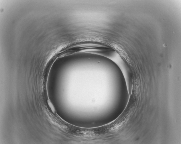 X0000087060395200704251034