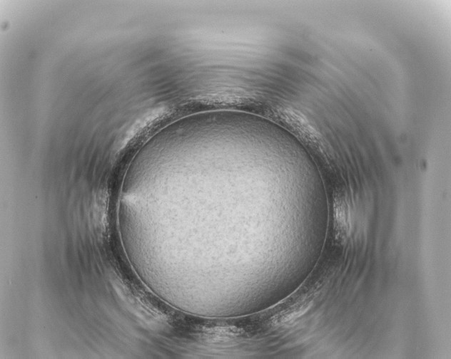 X0000087060396200704251034