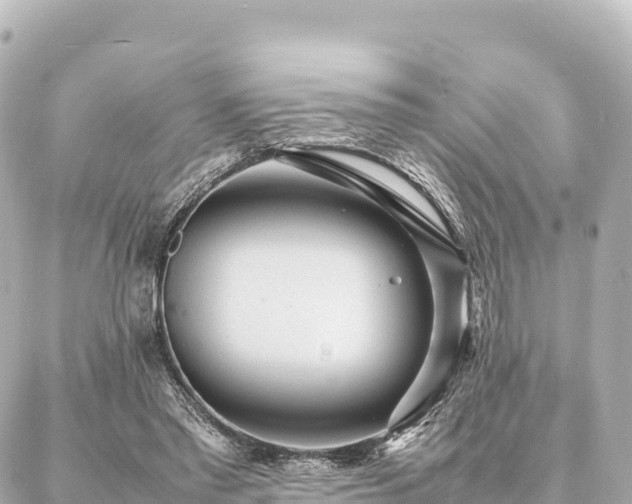 X0000087060397200704251034