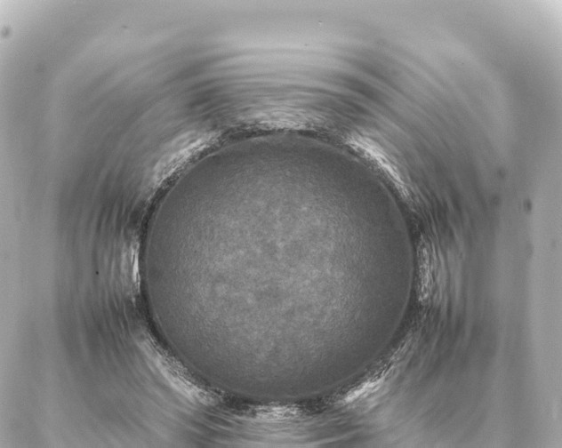 X0000087060398200704251034