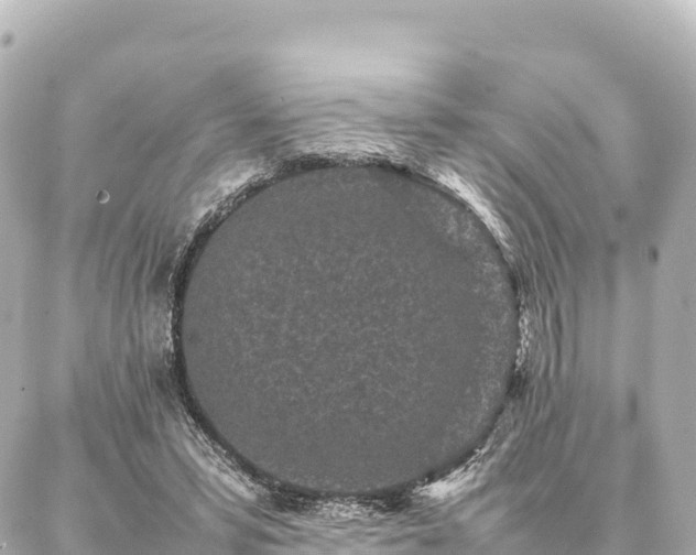 X0000087060399200704251034