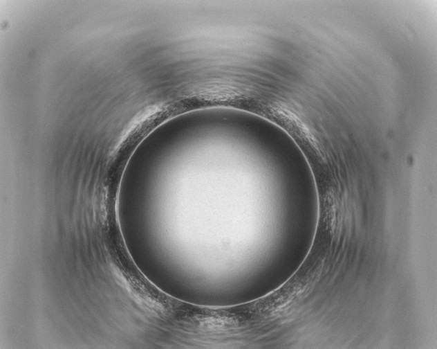 X0000087060400200704251034