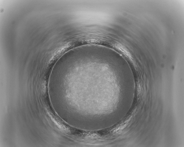 X0000087060401200704251034