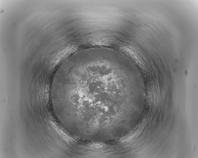 X0000087060402200704251034