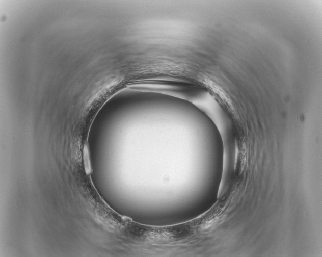 X0000087060403200704251034