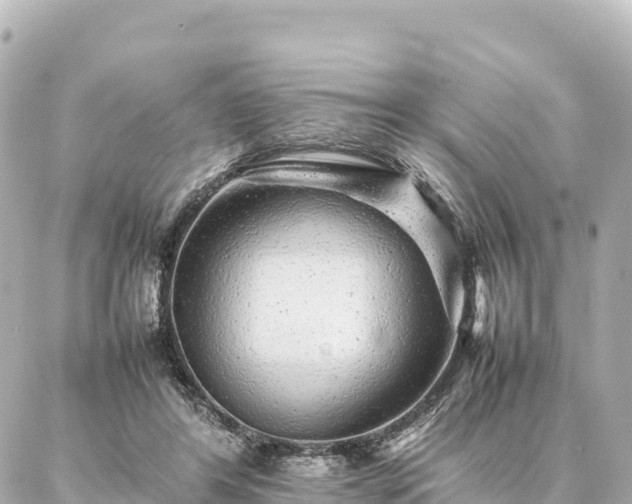 X0000087060404200704251034