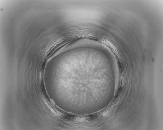 X0000087060405200704251034