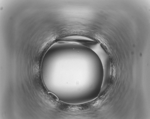 X0000087060407200704251034