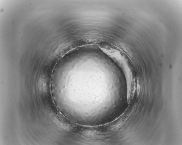 X0000087060408200704251034