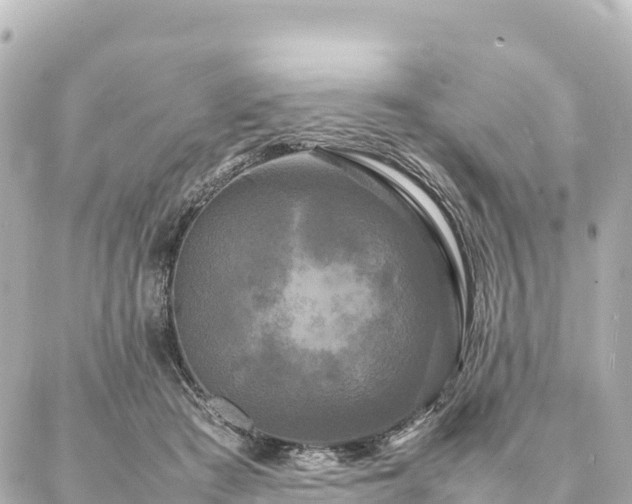 X0000087060409200704251034