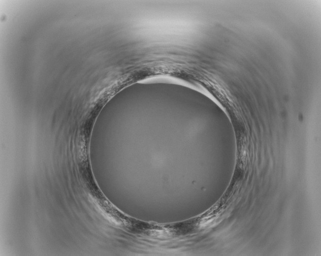 X0000087060411200704251034