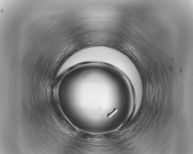 X0000087060412200704251034