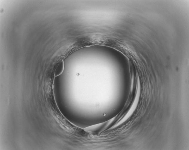 X0000087060413200704251034