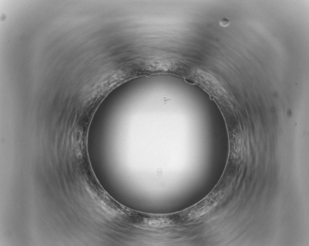 X0000087060414200704251034