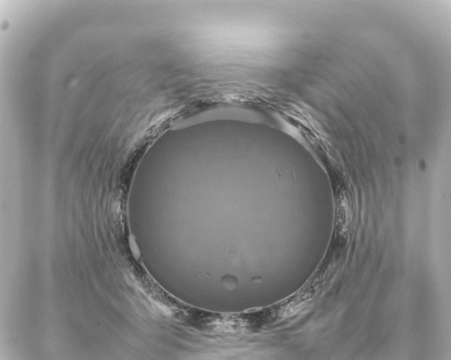 X0000087060415200704251034