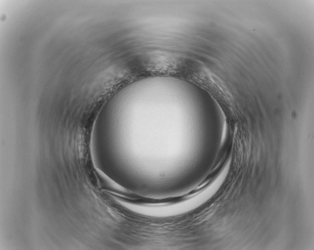 X0000087060416200704251034